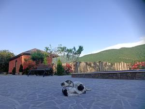 Gallery image of Green Paradise in Ijevan