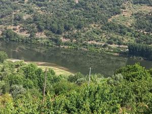 雷森迪Douro Balcony的从树木茂密的山丘上欣赏河流美景