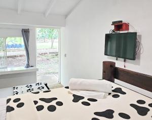 Voodi või voodid majutusasutuse EcoHotel El Castillo Pance toas
