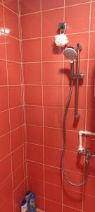 a red tiled bathroom with a shower with a hose at Hilltop cabin in Podgorica +27 photos