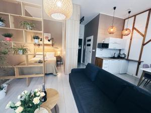 Una sala de estar y cocina en un apartamento pequeño. en Sophie Apartment, en Toruń