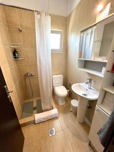 a bathroom with a shower and a toilet and a sink at Cottage near the sea in Nea Moudania