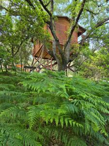 Zahrada ubytování Nuevo Ecolodge Cabañeros