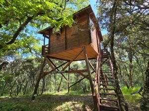 Zahrada ubytování Nuevo Ecolodge Cabañeros