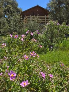 Zahrada ubytování Nuevo Ecolodge Cabañeros