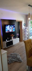 TV a/nebo společenská místnost v ubytování Apartman Tina