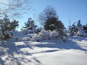 Το Ferienwohnung Oberschledorner Wald τον χειμώνα