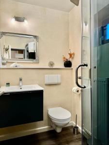 a bathroom with a toilet and a sink and a mirror at Schniekes Ferienhaus - Urlaub mit Hund im bayerischen Wald in Zandt