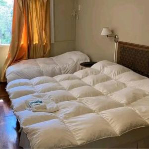 Katil atau katil-katil dalam bilik di Hotel rio de loa pájaros