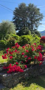 Gallery image of Casa Ilde in Lierna