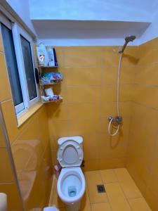 a bathroom with a toilet and a shower at Saranda Apartment in Polisi i Vogël