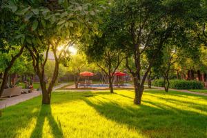 a park with trees and a picnic table in the grass at Mandarin Bungalow in Alanya