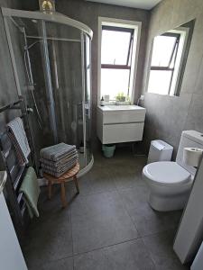 a bathroom with a shower and a toilet and a sink at Cosy Ski Vibe with Drying Room in Queenstown