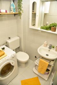 Koupelna v ubytování Apartman U2