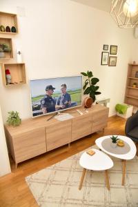 TV a/nebo společenská místnost v ubytování Apartman U2