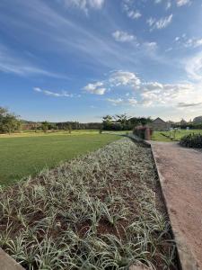 a field full of grass with a sky at Twenty ritz in Migori