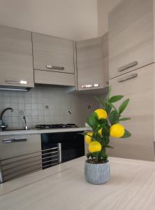 a kitchen with a plant in a vase on a table at Casa vacanza - Villa Dalila in Silvi Paese