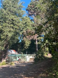 ein Haus inmitten einiger Bäume in der Unterkunft Chillshack in Abbeyville