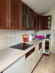 a kitchen with wooden cabinets and a counter top at Kota 1120 in Mojkovac