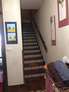 Billede fra billedgalleriet på La viña bonita i Gallegos de San Vicente