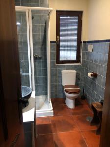 un baño con inodoro y ducha en La viña bonita, en Gallegos de San Vicente