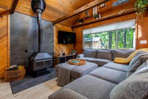 a living room with a couch and a stove at Powder to the People in Packwood