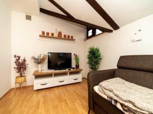 a bedroom with a bed and a flat screen tv at Holiday home with hot tube and 1 room in Donja Stubica