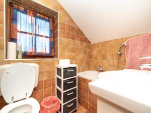 a bathroom with a toilet and a sink at Holiday home with hot tube and 1 room in Donja Stubica +26 photos