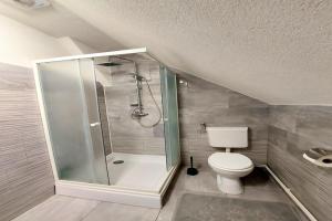 un bagno con doccia e WC di Apartments Jezerane - Four Bedroom Apartment with Balcony a Jezerane