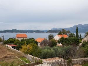 a town with a view of a body of water at Apartments Ana Lopud - Double Room with Balcony and Sea View - 1 floor in Lopud Island