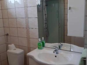 a bathroom with a sink and a toilet and a mirror at One Bedroom Apartment with Balcony in Gajić +12 photos