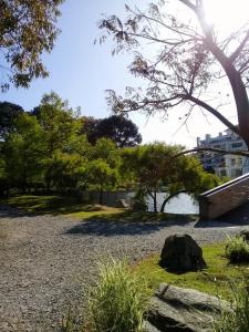 Příroda nedaleko apartmánu