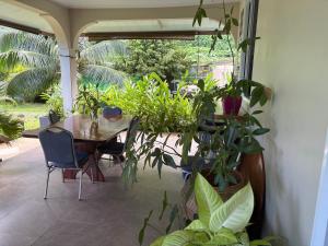 Um jardim no exterior de FAREOA
