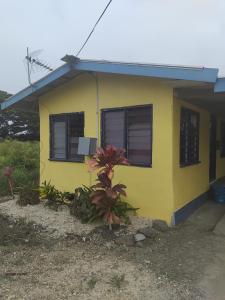 une maison jaune avec une plante devant dans l'établissement CORAL Retreat, à Rewasau 7 autres photos