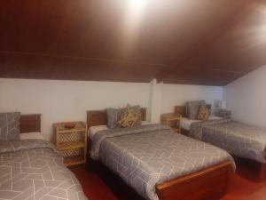 Voodi või voodid majutusasutuse Misty Mount Hostel toas
