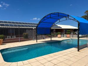 a blue canopy over a swimming pool with a building at Albert Motel in Moree