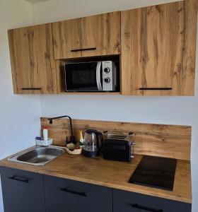 Kuchyň nebo kuchyňský kout v ubytování Apartma Minka