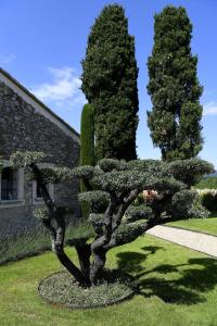 Zahrada ubytování Bastide des Demoiselles