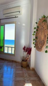 Fotografie z fotogalerie ubytování Soliman house dahab v destinaci Dahab