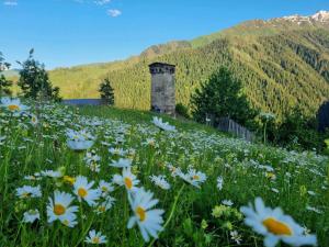 a field of flowers in front of a building at Maia's Guesthouse in Mestia