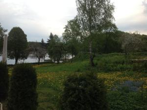 Příroda nedaleko apartmánu