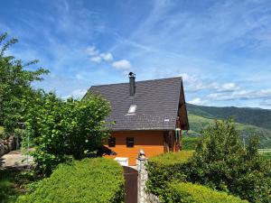 a brown house with a black roof and trees at Les hauts du Schliffels in Fellering