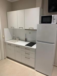 luxury studios & apartments Athanasias的厨房或小厨房