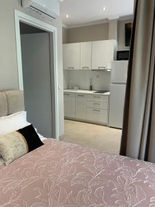 luxury studios & apartments Athanasias的厨房或小厨房
