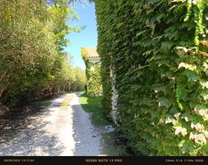 Gallery image of Panoramma Hause, Kampos Evdilou,Ikaria in Évdhilos