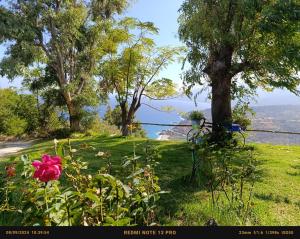 Gallery image of Panoramma Hause, Kampos Evdilou,Ikaria in Évdhilos