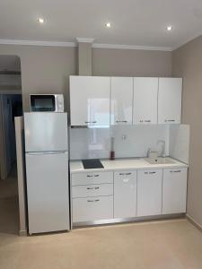 luxury studios & apartments Athanasias的厨房或小厨房
