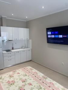 luxury studios & apartments Athanasias的厨房或小厨房