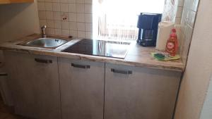 una cucina con lavandino e piano di lavoro di Haus Sonja a Lermoos