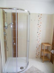 W łazience znajduje się prysznic ze szklanymi drzwiami. w obiekcie Pension Strnad w mieście Velká Úpa